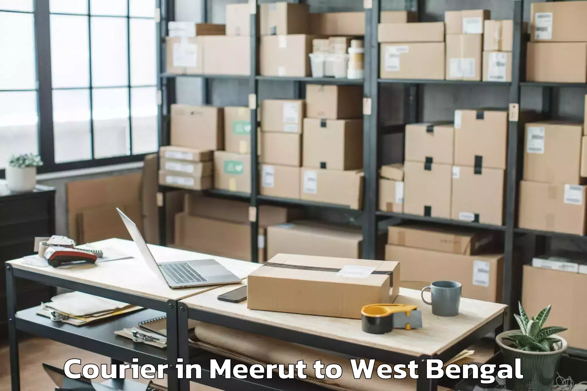 Professional Meerut to Shantiniketan Courier